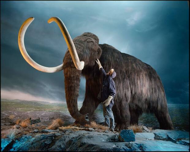 Mamut lanudo