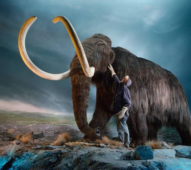 Mamut Clonado
