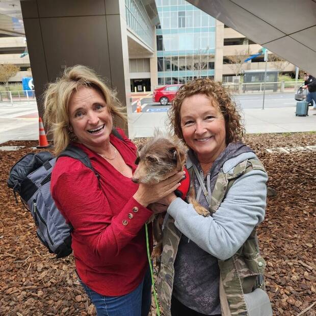 Choco y su aventura en EE.UU