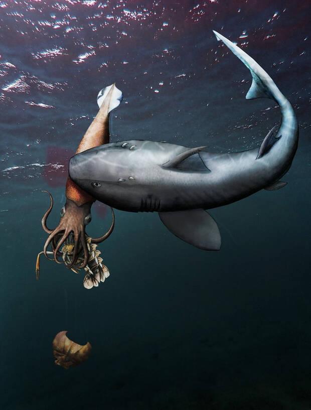 Representación de la cacería del cangrego, el calamar y el tiburón