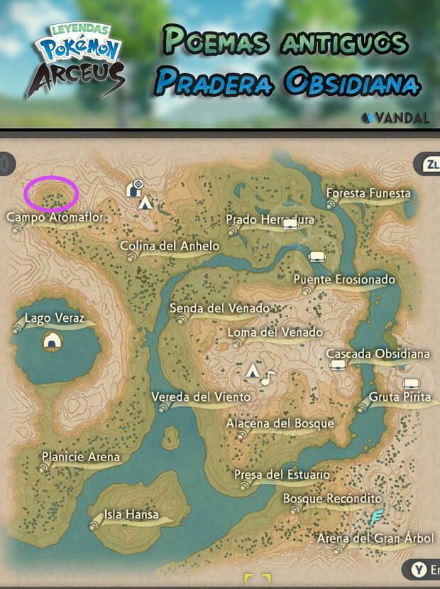 Leyendas Pokémon: Arceus - Poema antiguo nş 19 - Localización