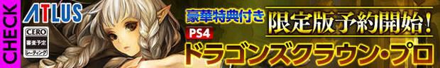 Se filtra Dragon's Crown Pro en PlayStation 4 Imagen 2