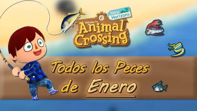 Peces disponibles en Enero 2022 en Animal Crossing: New Horizons