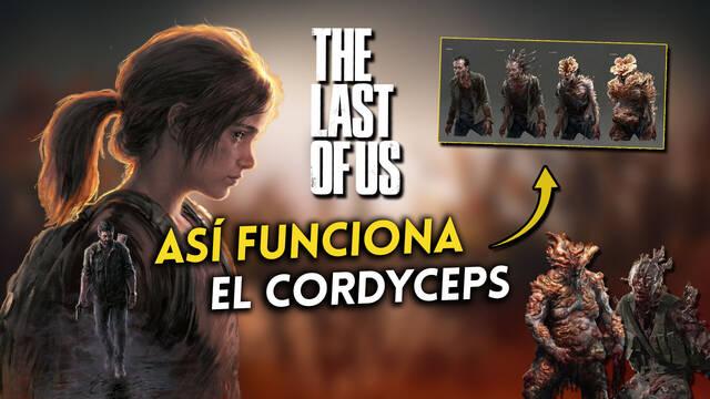 Todos los detalles del cordyceps de The Last of Us