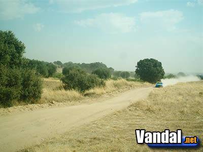 Colin McRae Rally 2005 se presenta en Espa�a