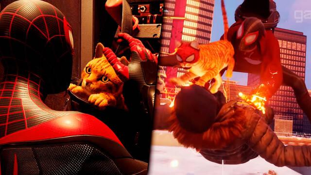 Spider-Man: Miles Morales Spider-Cat gato 