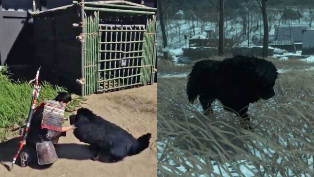 Ghost of Tsushima te permitir� acariciar un perro en su pr�xima actualizaci�n.