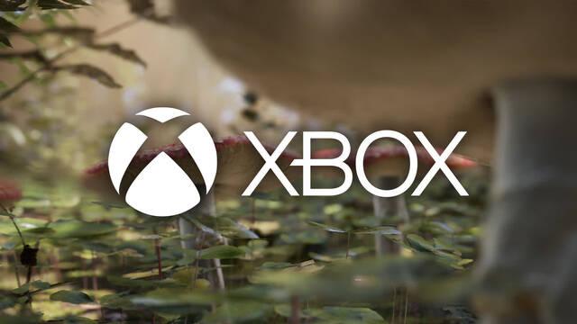 Xbox podría estar trabajando en un MMO 100% en la nube.
