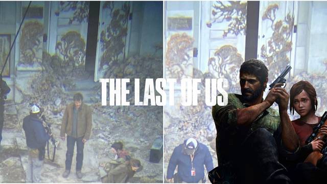 The Last of Us y el cordyceps