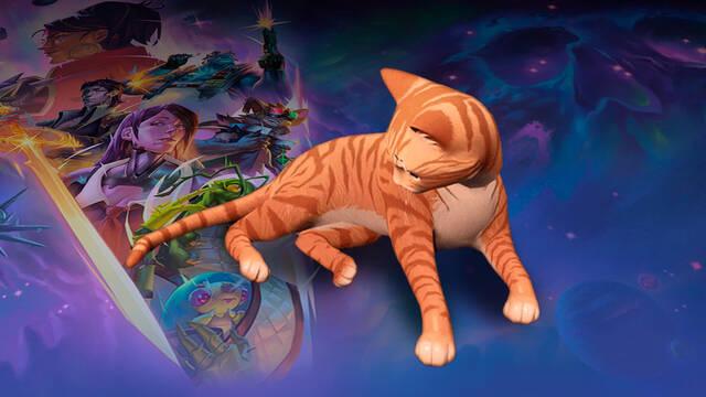 Starfinder: Afterlight agot� repetidas veces su recompensa de a�adir un gato por 450 euros