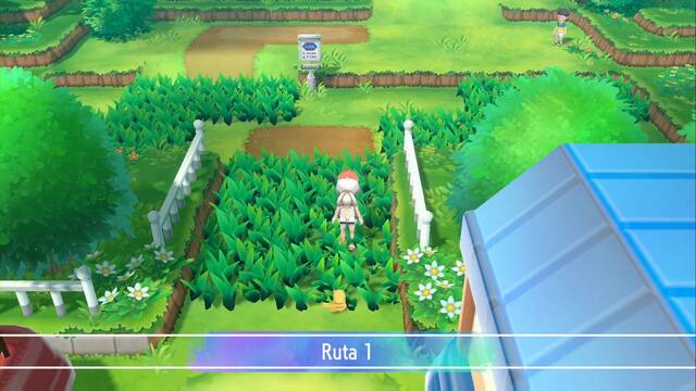 Ruta 1 en Pok�mon Let's Go - Pok�mon y secretos - Pok�mon: Let's Go, Pikachu! / Let's Go, Eevee!