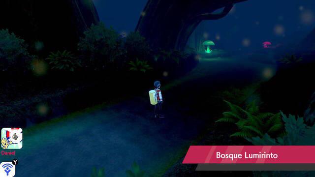 Bosque Lumirinto en Pok�mon Espada y Escudo - Qu� Pok�mon hay y secretos - Pok�mon Espada y Escudo