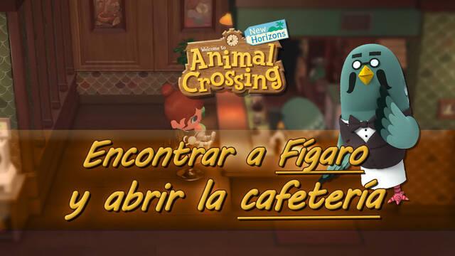 Fígaro en AC New Horizons: Dónde encontrarlo y cómo abrir la cafetería El Alpiste - Animal Crossing: New Horizons