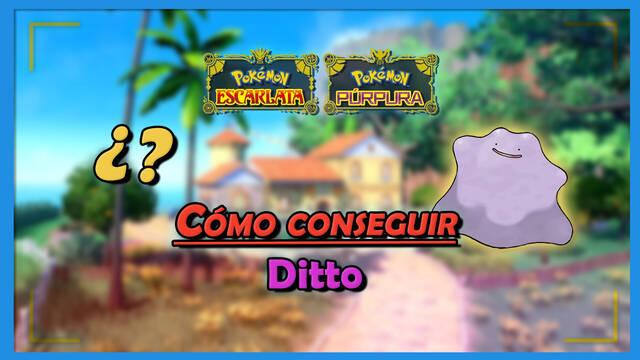 Cómo identificar y capturar a Ditto en Pokémon Escarlata y Púrpura fácilmente - Pokémon Escarlata y Púrpura