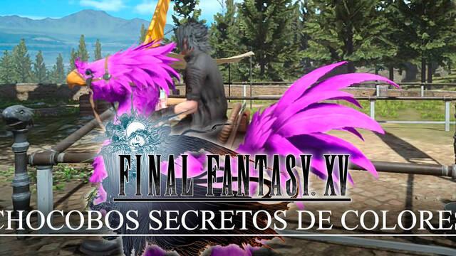 Cómo conseguir los chocobos secretos de colores en Final Fantasy XV - Final Fantasy XV