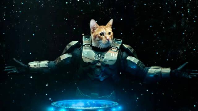 Anuncio Xbox Series X con gato y Halo