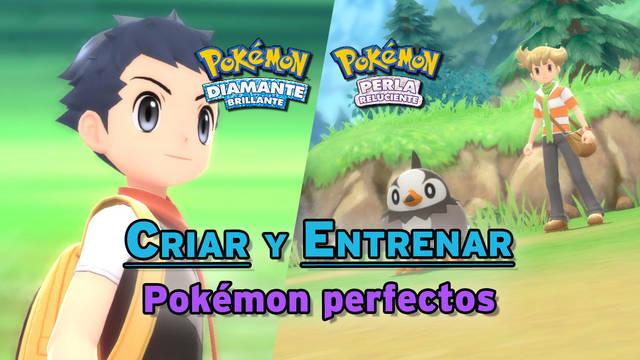 Criar y entrenar Pokémon perfectos en Diamante Brillante y Perla Reluciente - Pokémon Diamante Brillante / Perla Reluciente