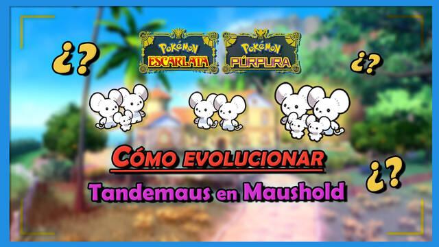 Cómo evolucionar a Tandemaus en Maushold en Pokémon Escarlata y Púrpura - Pokémon Escarlata y Púrpura