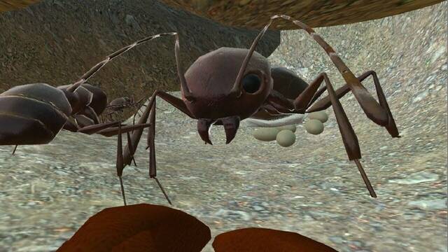 Captura de pantalla de Ant Simulator
