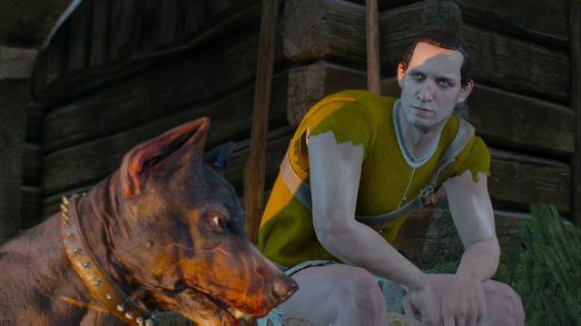 Desaparecido en combate - The Witcher 3: Wild Hunt - The Witcher 3: Wild Hunt