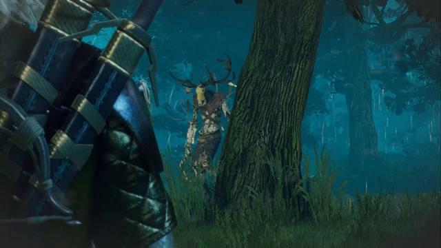 El señor del bosque - Contrato en The Witcher 3: Wild Hunt - The Witcher 3: Wild Hunt