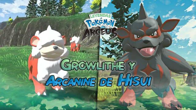 Leyendas Pokémon Arceus: Growlithe de Hisui y Arcanine de Hisui - ¿cómo conseguirlos? - Leyendas Pokémon Arceus