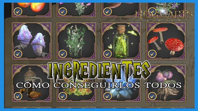 Hogwarts Legacy: Ingredientes, c�mo conseguirlos y cultivarlos - Hogwarts Legacy
