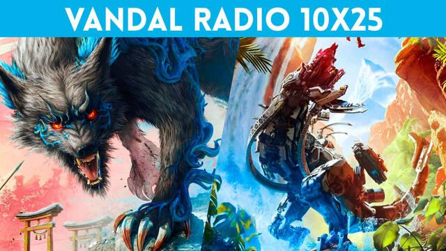 Vandal Radio 10x25
