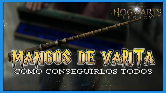 Hogwarts Legacy: TODOS los mangos de varita y cómo conseguirlos - Hogwarts Legacy