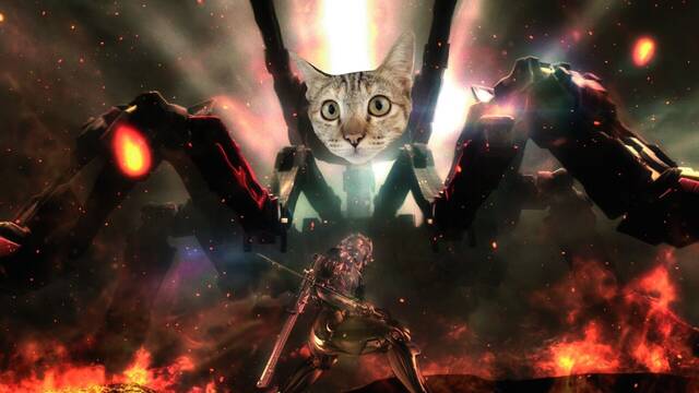 Metal Gear Rising Revengeance quiere mucho a los gatos y lo demostramos en este TikTok