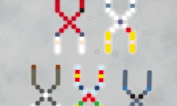 Se muestran nuevos cromosomas en la web del juego de Capcom, Namco Bandai y Sega