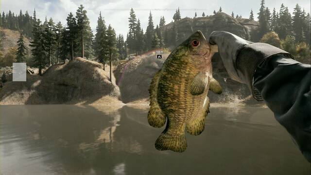 Animales y d�nde encontrarlos en Far Cry 5 - Far Cry 5