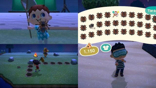 La comunidad de Animal Crossing: New Horizons se une en la caza de la tar�ntula con laberintos, trampas y exploits
