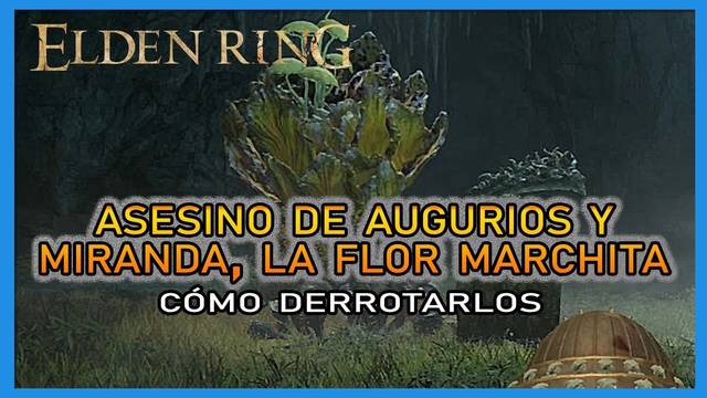 Asesino de augurios y Miranda, la flor marchita en Elden Ring: Cómo derrotarlos y recompensas - Elden Ring