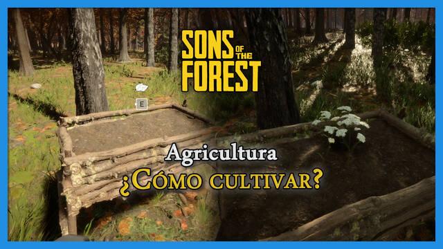 Agricultura en Sons of the Forest: C�mo cultivar semillas y bayas - Sons of the Forest