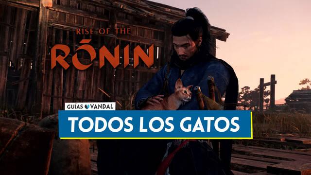 Rise of the Ronin: TODOS los gatos y d�nde encontrarlos - Localizaci�n - Rise of the Ronin