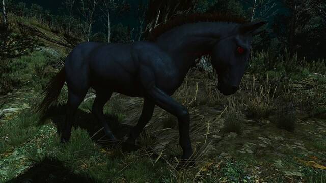 Fantasmas equinos en The Witcher 3: Wild Hunt - Blood & Wine (DLC) - The Witcher 3: Wild Hunt