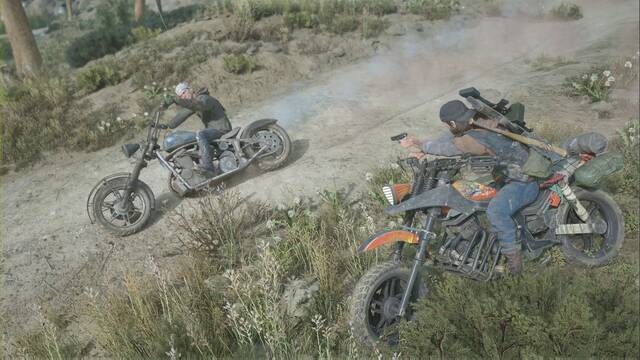 Days Gone: Semillas para la primavera al 100% y secretos - Days Gone