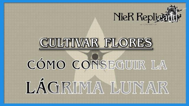 NieR Replicant: c�mo cultivar flores y conseguir la Flor legendaria - NieR Replicant ver.1.22474487139...