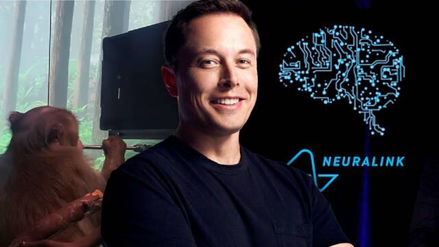 Neuralink, de Elon Musk, muestra c�mo un mono es capaz de jugar a Pong con su mente.