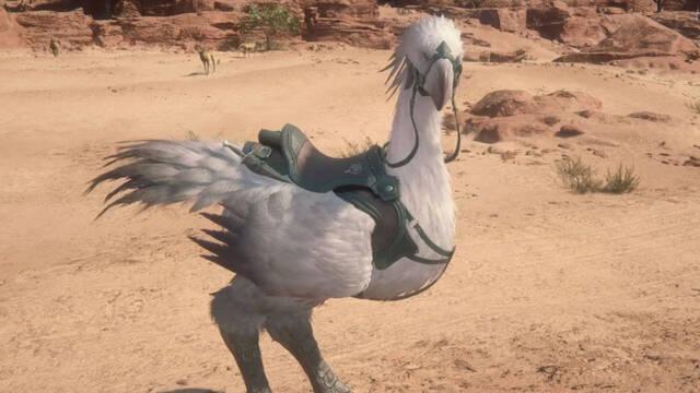 Los chocobos son conocidos como caballos en Final Fantasy XVI
