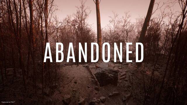 Abandoned: El desarrollo est� en pausa porque no tienen financiaci�n