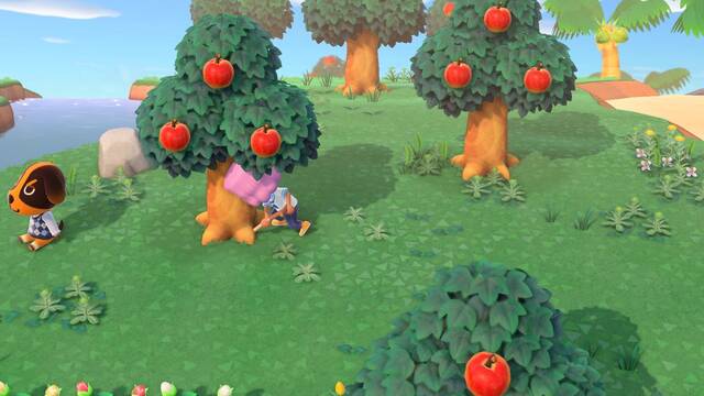 Animal Crossing: New Horizons Transferencia datos Switch
