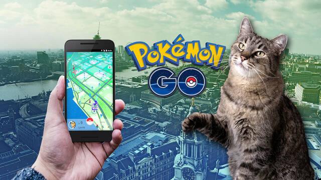 V�deo viral de un gato jugando a Pok�mon GO