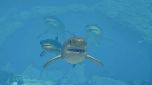 Es la bestia marina m�s temida y acaba de confirmarse: el megalod�n estar� en Jurassic World Evolution 3