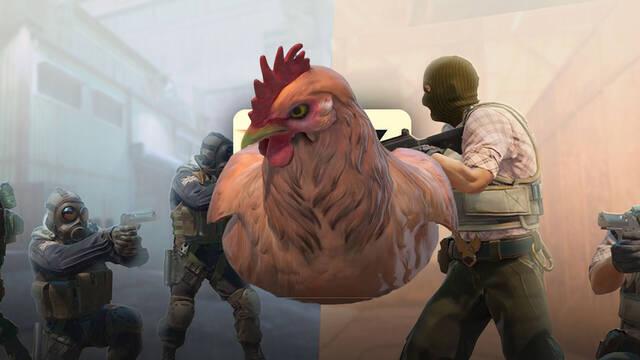 Pollo mascota en Counter Strike 2
