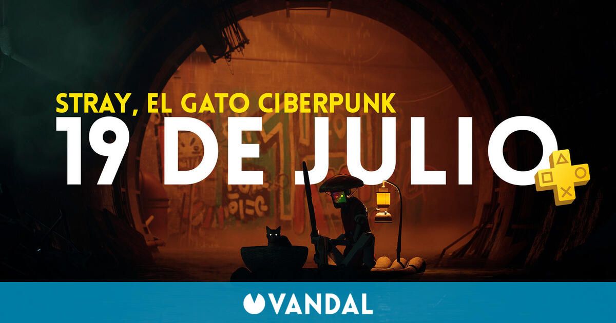 Stray, il gioco del gatto cyberpunk, uscirà il 19 luglio dal vivo su PS Plus