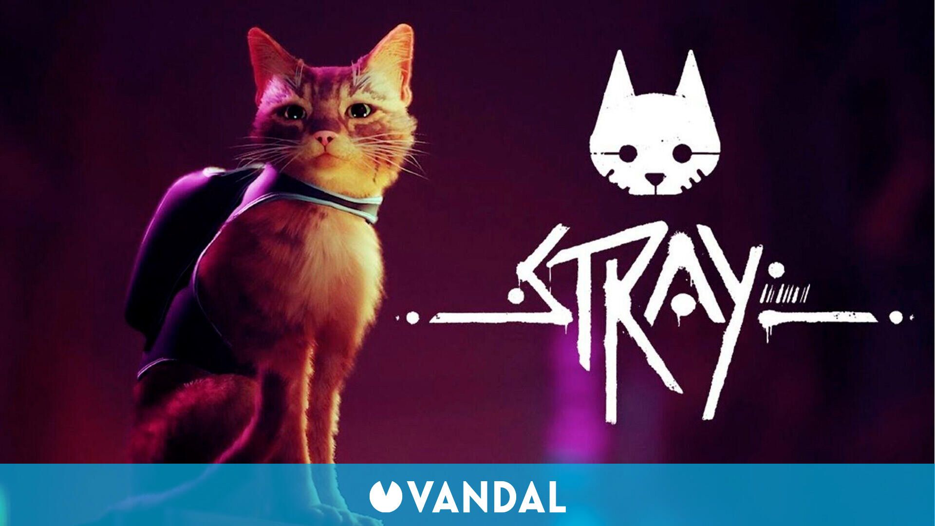 Stray, juego ciberpunk protagonizado por gato, llegará en - Vandal