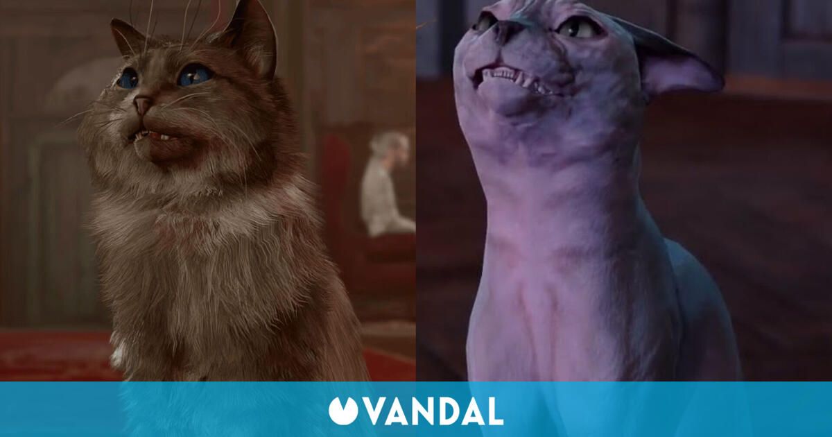 Larian Studios shaves a cat from Baldur’s Gate 3 by community request