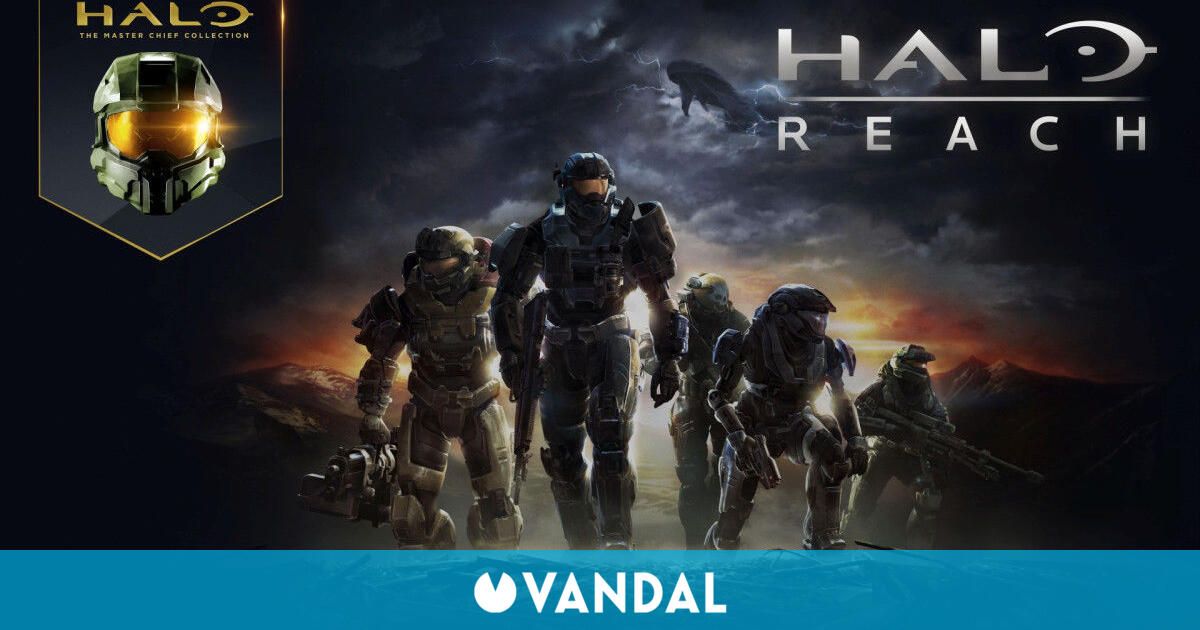 principios de halo mcc